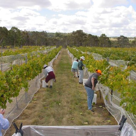 Fergies Hill Spa Cottage @ Granite Ridge Wines Ballandean Exterior photo